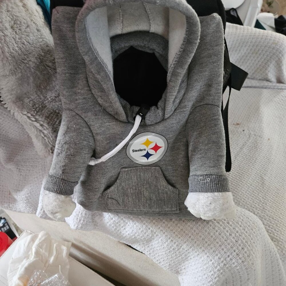 NEW NFL Steeler Puppy Carrier